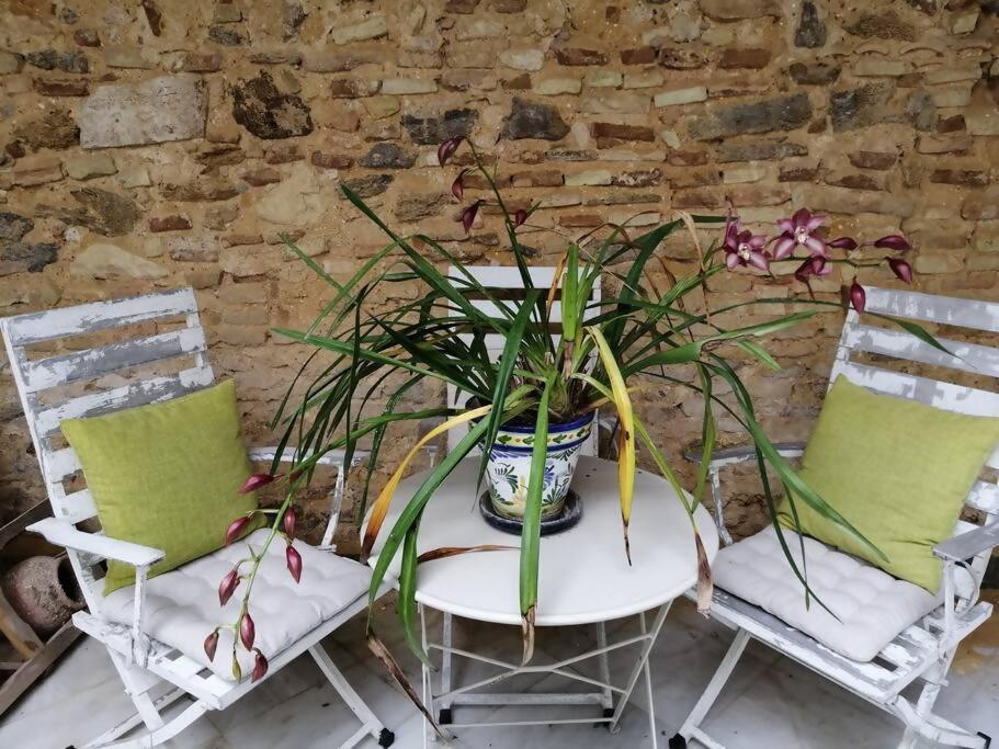 Apartamento Orégano Sanlúcar de Barrameda Esterno foto