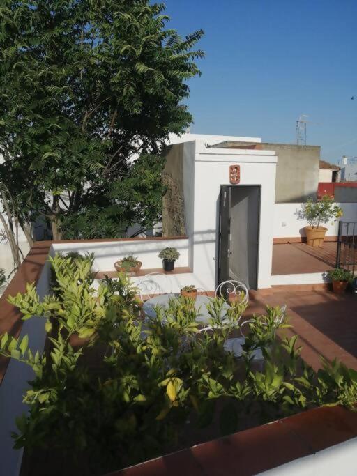 Apartamento Orégano Sanlúcar de Barrameda Esterno foto